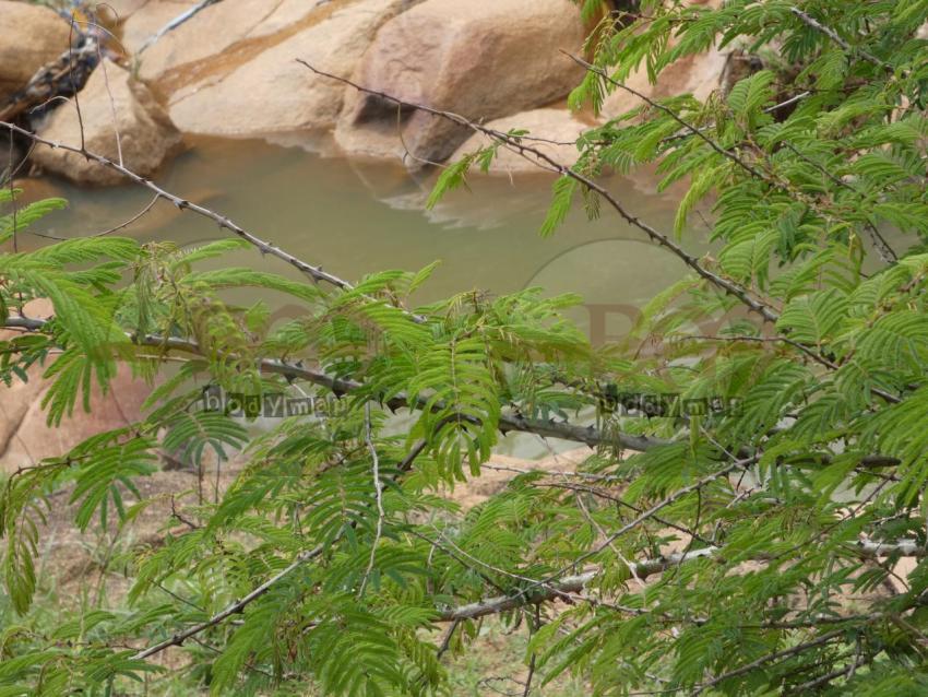 Rocky_river