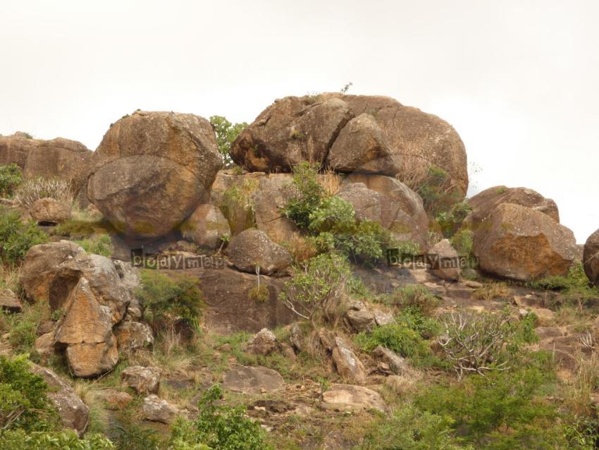Rocks