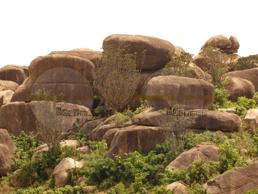 Rocky_land