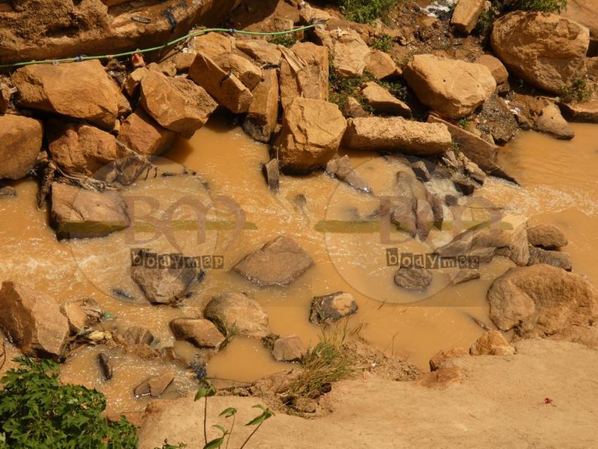 Brown_stream
